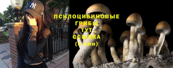 прущая мука Пролетарск