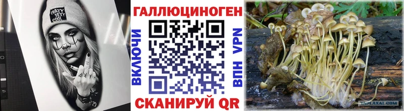 Галлюциногенные грибы Psilocybe  даркнет сайт  Тбилисская 